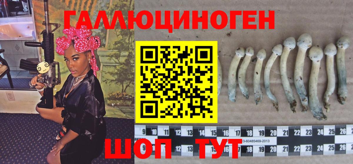 Псилоцибиновые грибы MAGIC MUSHROOMS  Вход с VPN  дарнет шоп  Жуковский  Галлюциногенные грибы MAGIC MUSHROOMS 