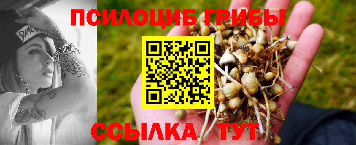 Псилоцибиновые грибы GOLDEN TEACHER Жуковский