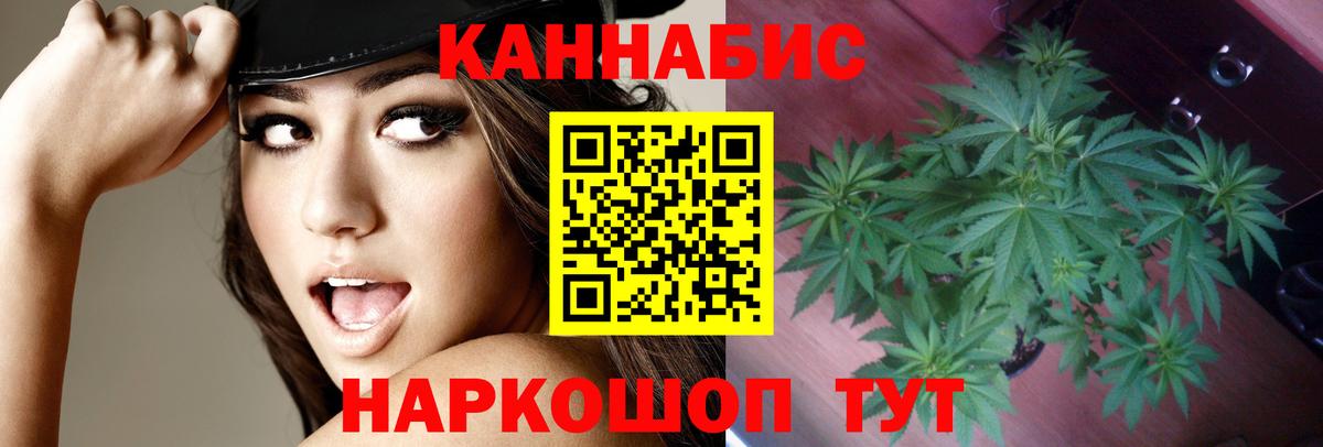 Жуковский  Марихуана конопля  Конопля OG Kush  Вход с VPN 